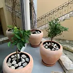 La Mama Affittacamere Baška Voda