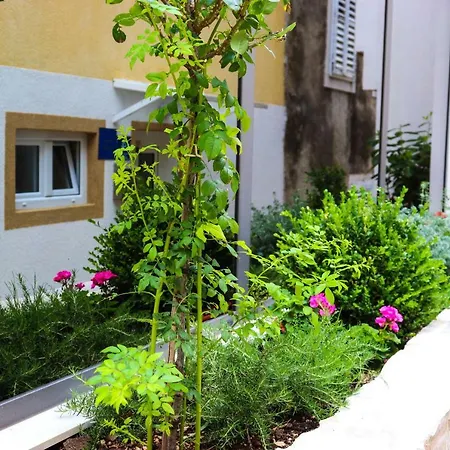 La Mama Guest house